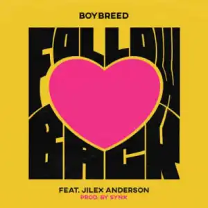 Boybreed - Follow Back ft Jilex Anderson